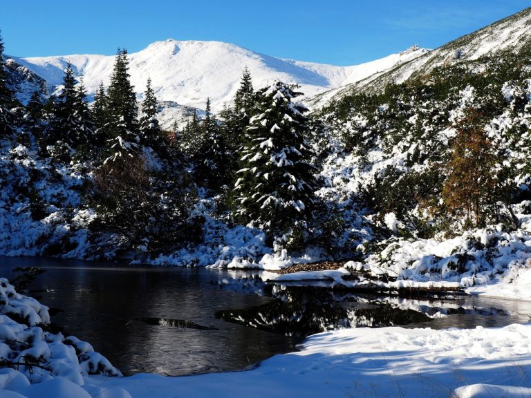 Zakopane - ucieczka z miasta - odkryj nasze urokliwe apartamenty